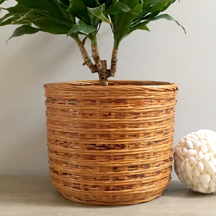 Hanging Plants Indoor | Basket Plant Pots Indoor: Enhancing Your Home Decor with Natural Elegance