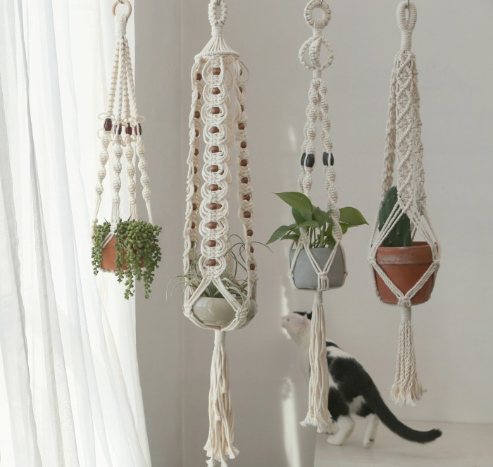 Hanging Plants Indoor | Macrame Plant Hangers: Create a Boho Chic Oasis Indoors