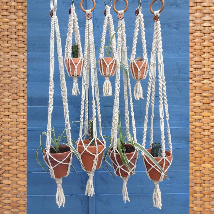 Hanging Plants Indoor | Macrame Hanging Pots: A Versatile and Decorative Touch for Your Home