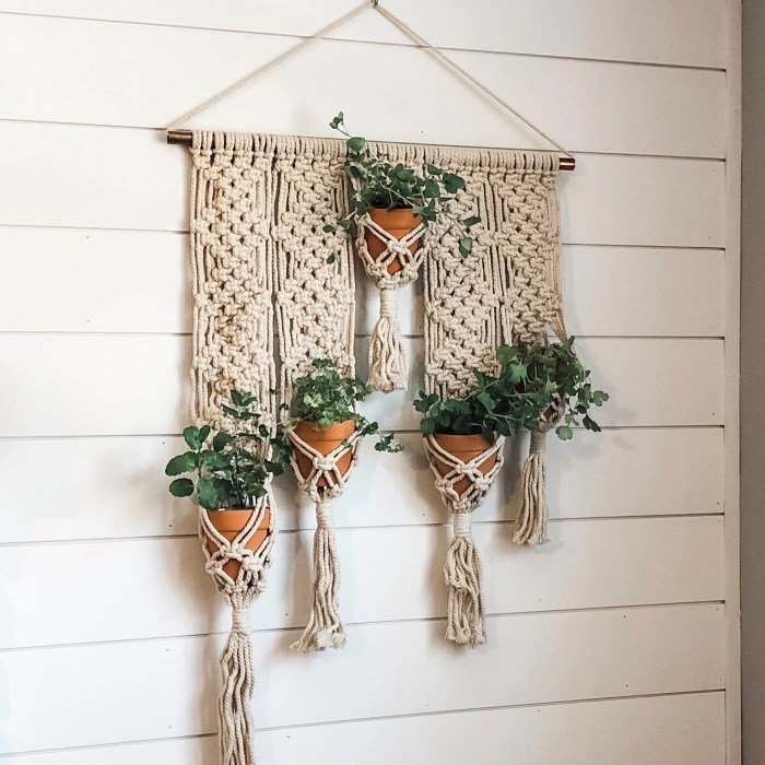 Hanging Plants Indoor | Macrame Hanging Pots: A Versatile and Decorative Touch for Your Home