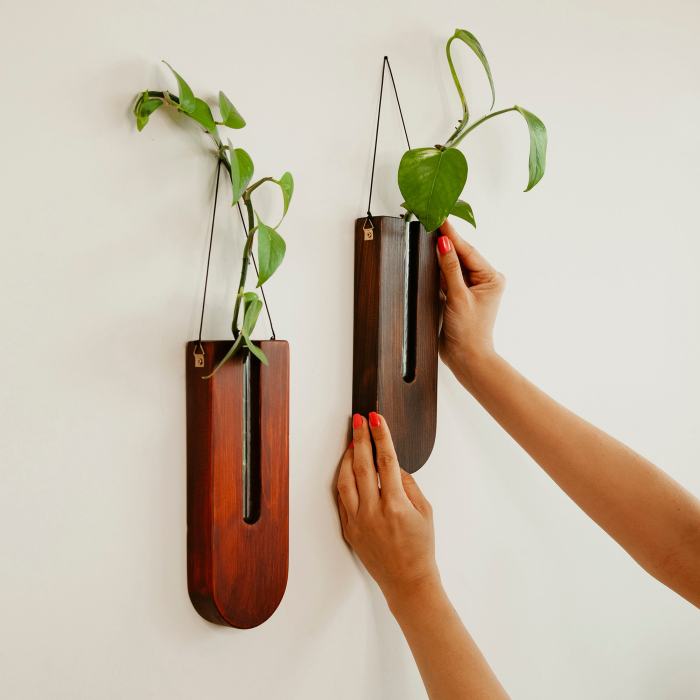 Hanging Plants Indoor | Wall Plant Hangers Indoor: Elevate Your Decor with Style and Greenery