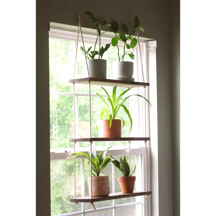 Hanging Plants Indoor | Hanging Window Shelves for Plants: A Guide to Displaying Greenery with Style