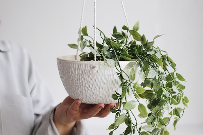 Hanging Plants Indoor | Indoor Hanging Planters with Drainage: Elevate Your Indoor Decor and Plant Health