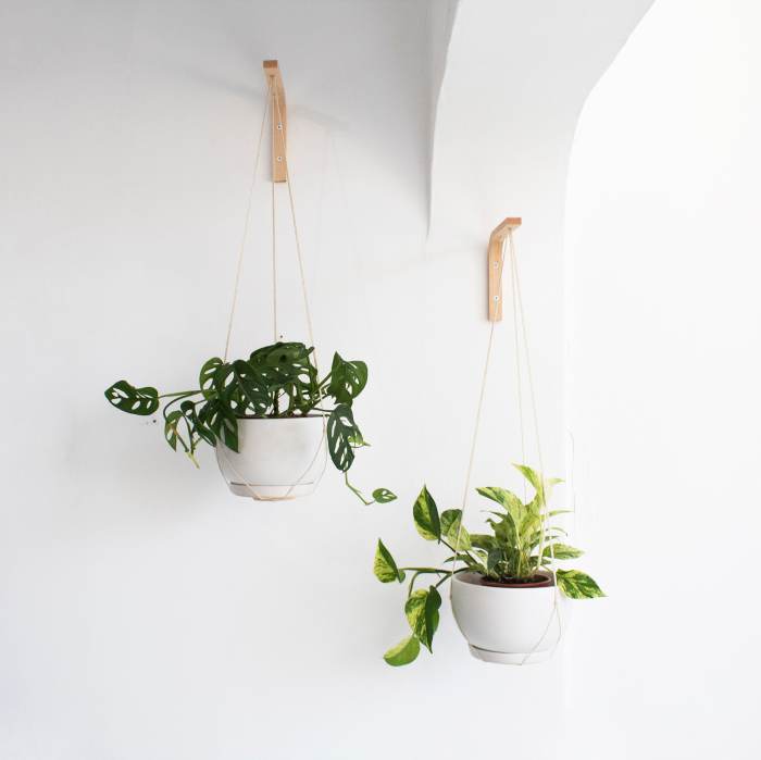 Hanging Plants Indoor | Wall Mount Plant Hangers Indoor: Enhancing Spaces with Greenery