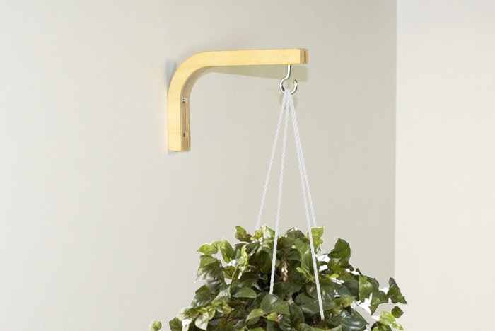 Hanging Plants Indoor | Hanging Plants with Command Hooks: Elevate Your Home Décor