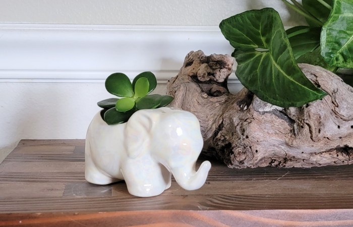 Hanging Plants Indoor | Bunnings Elephant Pot: A Unique and Versatile Garden Essential