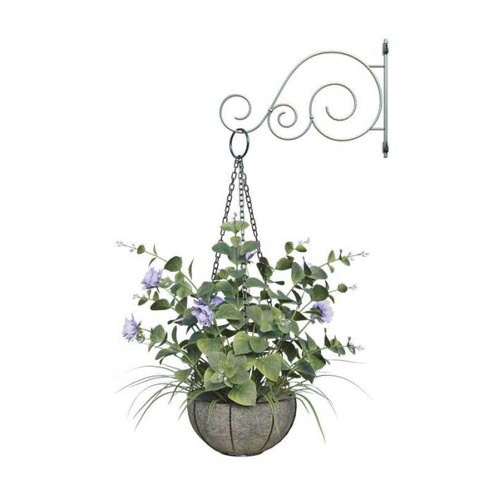 Hanging Plants Indoor | Discover 10 Hanging Plants PNG Transparent to Elevate Your Home Decor