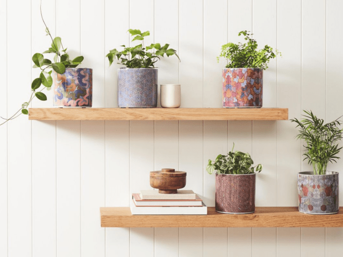Hanging Plants Indoor | Bunnings Novelty Pots: Enhancing Spaces with Creative Designs