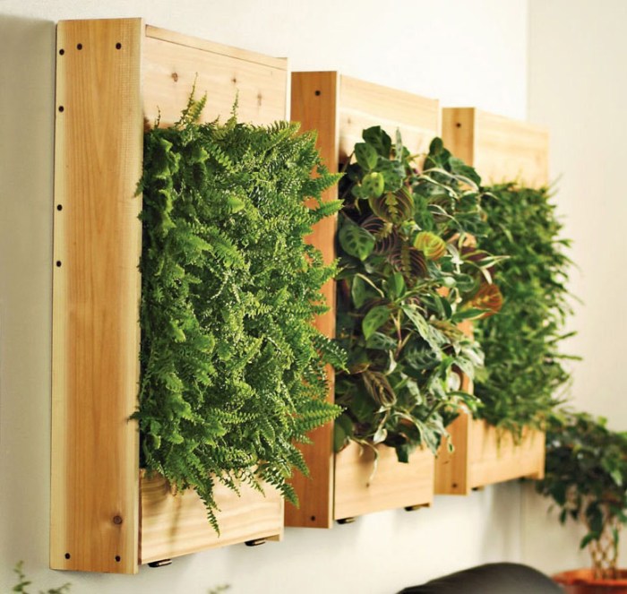 Hanging Plants Indoor | Wall Mounted Planters Indoor: A Vertical Oasis for Your Home