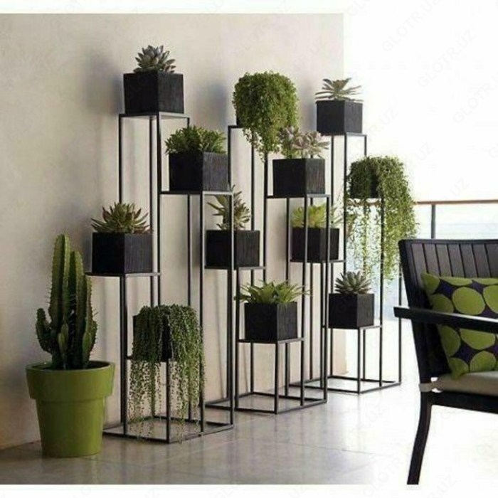 Hanging Plants Indoor | Geometric Indoor Wall Planters: A Guide to Design, Installation, and Care
