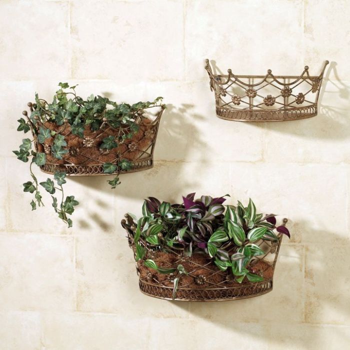 Hanging Plants Indoor | Wall Hanging Planters: Beautify Your Indoor Space with Greenery
