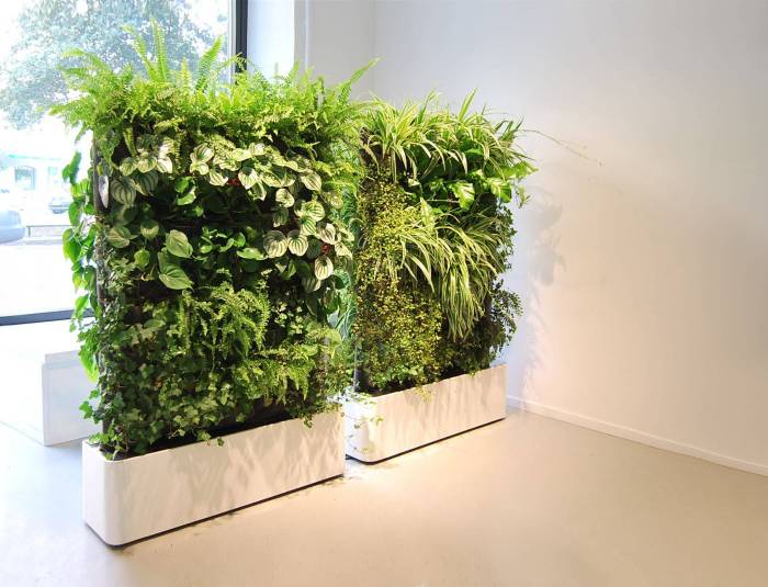 Hanging Plants Indoor | 8 Best Indoor Wall Planters for a Greener Home
