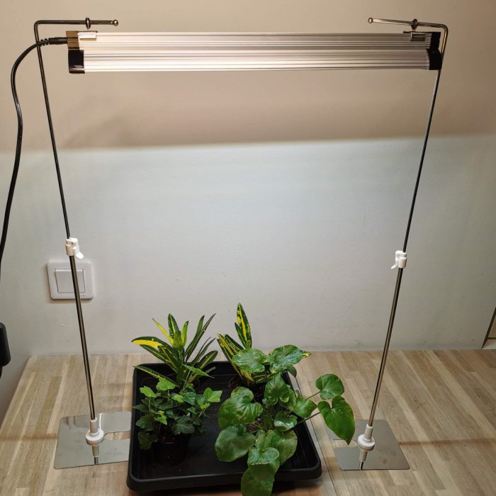 Hanging Plants Indoor | Best Hanging Grow Lights: Enhance Your Indoor Gardening