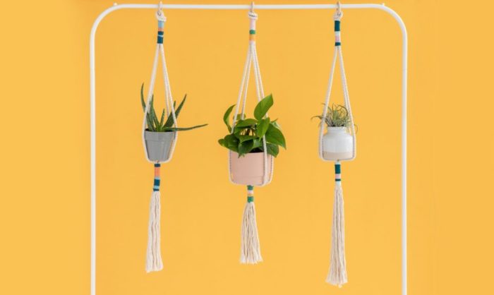 Hanging Plants Indoor | 10 Hanging Plant Knots for Aesthetic and Functional Suspensions