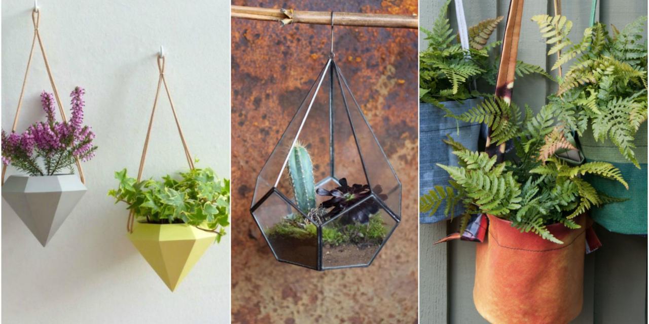 Hanging Plants Indoor | Best Plants for Hanging Planters Indoors: A Guide to Indoor Oasis Creation