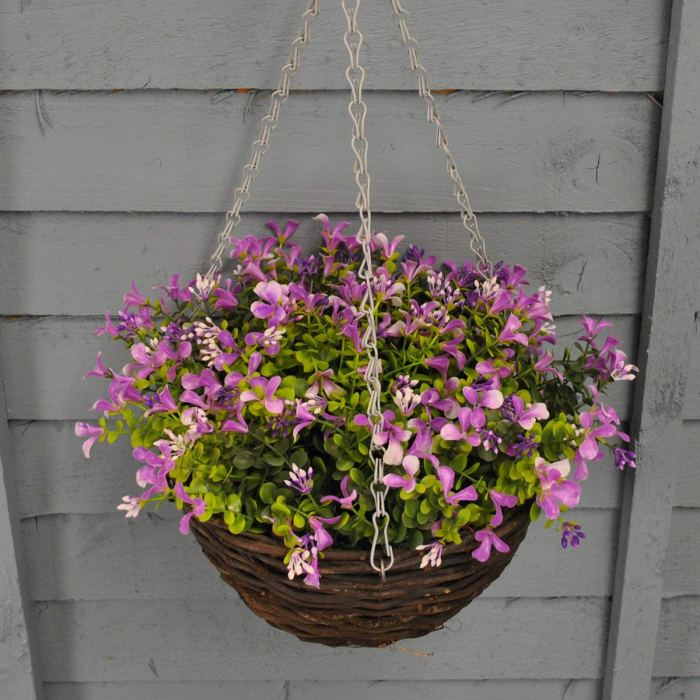 Hanging Plants Indoor | Hanging Baskets for Houseplants: Enhance Your Home Decor with Vertical Greenery