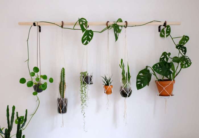 Hanging Plants Indoor | Hanging Plants to Cover Wall: A Guide to Greenery on Your Walls