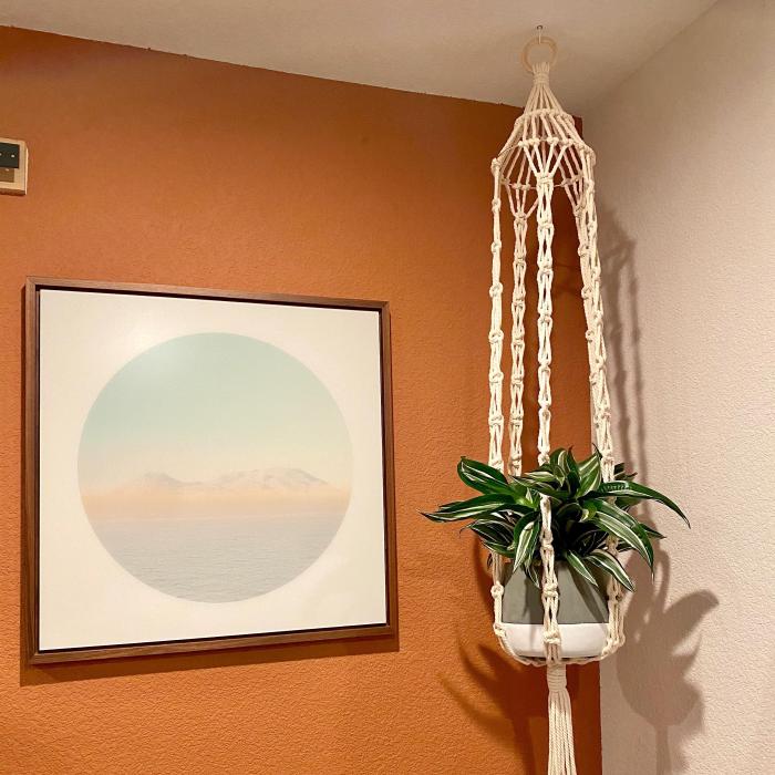 Hanging Plants Indoor | Bedroom Wall Planters: A Guide to Design, Plants, DIY, and Care