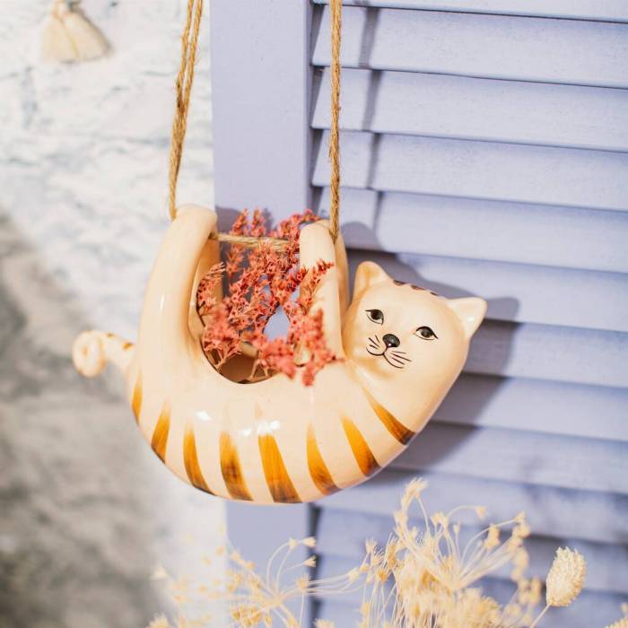 Hanging Plants Indoor | Hanging Plants for Cats: Enhancing Feline Well-being