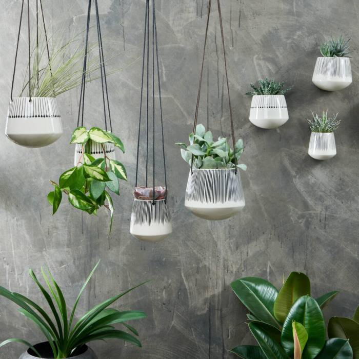 Hanging Plants Indoor | Ceramic Hanging Planters Indoor: Enhancing Aesthetics, Air Quality, and Space
