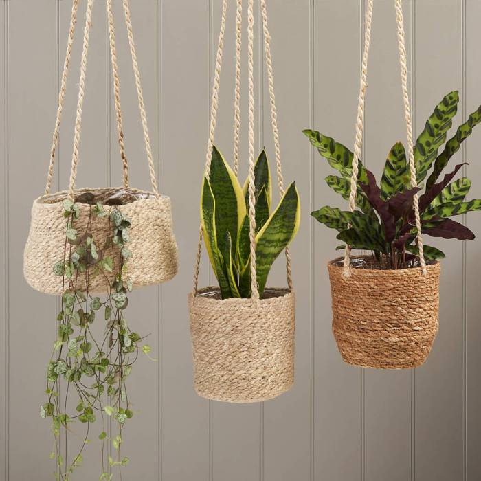 Hanging Plants Indoor | Elevate Your Interiors with Large Indoor Hanging Pots: A Comprehensive Guide