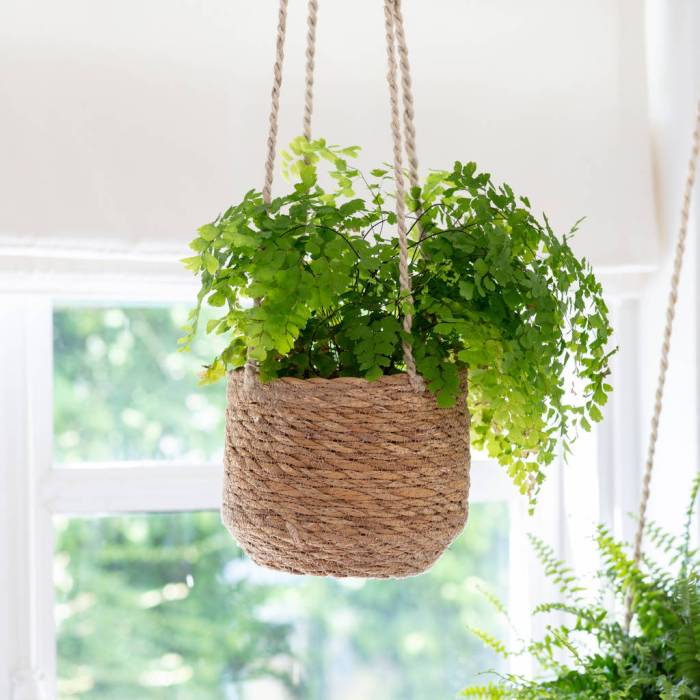 Hanging Plants Indoor | Hanging Pots: Enhancing Spaces with Greenery