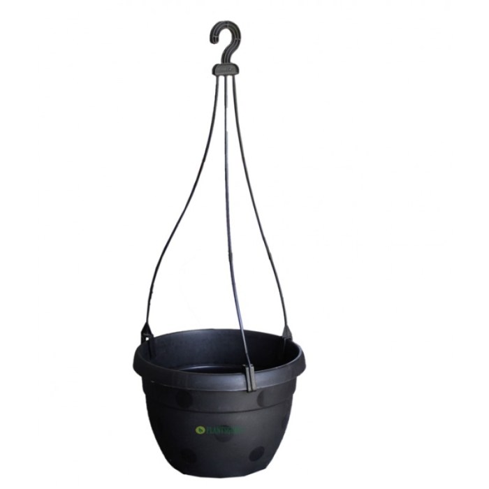 Hanging Plants Indoor | Black Indoor Hanging Baskets: A Guide to Styles, Selection, and Design