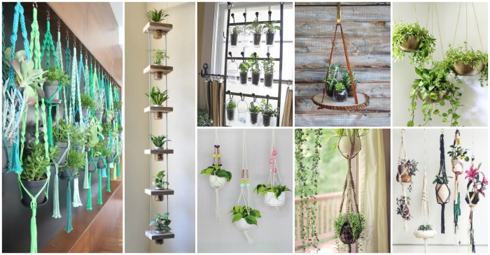 Hanging Plants Indoor | Inside Plant Hangers: Elevate Your Home Decor with Greenery