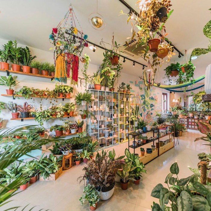 Hanging Plants Indoor | Discover the Allure of Indoor Plant Stores: A Guide to Greenery and Decor