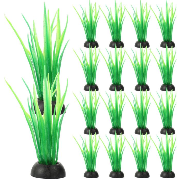 Hanging Plants Indoor | Best Plants for Betta Vases: Enhance Your Betta's Habitat and Well-being