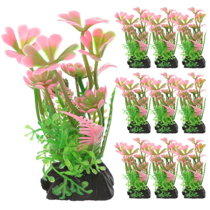 Hanging Plants Indoor | Best Plants for Betta Vases: Enhance Your Betta's Habitat and Well-being