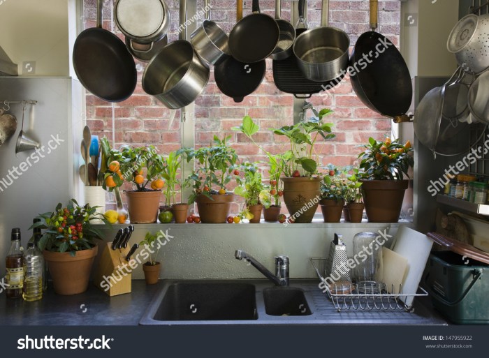 Hanging Plants Indoor | Hanging Plants Above Kitchen Sink: A Guide to Greenery and Functionality
