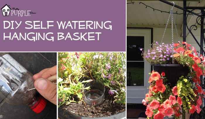 Hanging Plants Indoor | Self Watering Hanging Baskets: A Guide to Bunnings' Options
