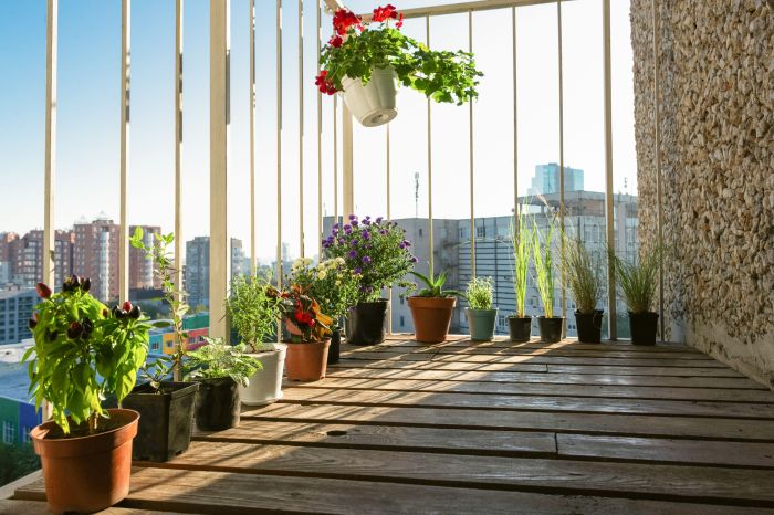 Hanging Plants Indoor | Unveiling the Best Plants for Your Balcony Garden: A Comprehensive Guide to Flourishing Greenery