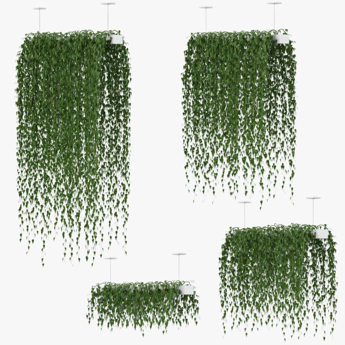 Hanging Plants Indoor | 10 Hanging Plants Revit Family Free Download: Enhance Your Designs with Realistic Greenery