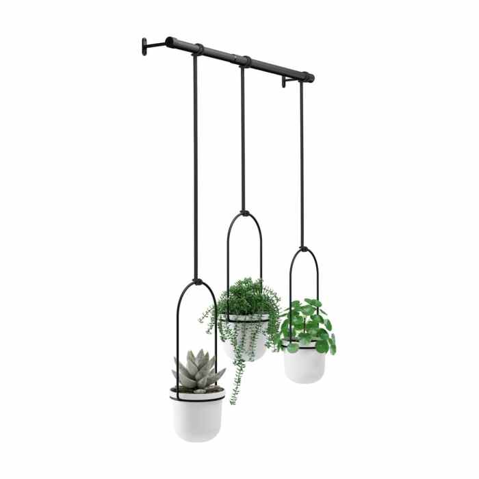 Hanging Plants Indoor | 3 Elevate Your Home Decor with the Enchanting Triflora Hanging Planter