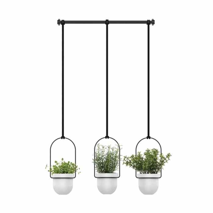 Hanging Plants Indoor | 3 Elevate Your Home Decor with the Enchanting Triflora Hanging Planter