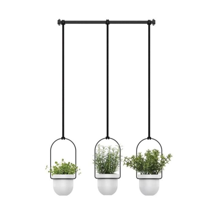 Hanging Plants Indoor | Umbra Triflora Hanging Planter: A Stylish and Functional Addition to Your Home