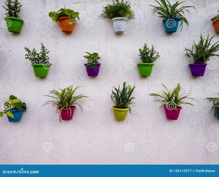 Hanging Plants Indoor | 10 Hanging Plants That Will Transform Your Brick Wall