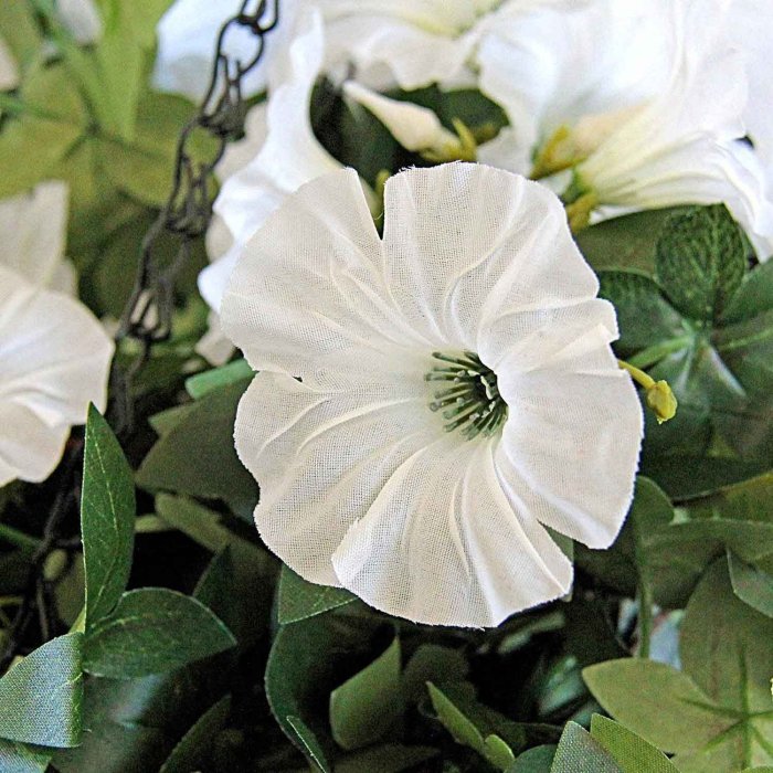 Hanging Plants Indoor | Hanging Plants with White Flowers: A Guide to Beauty and Serenity