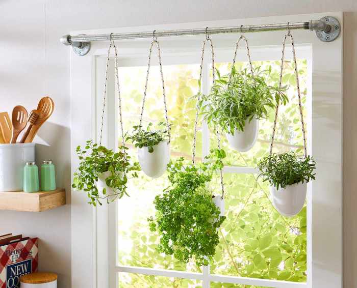 Hanging Plants Indoor | 5 Hanging Herb Garden Indoor: A Space-Saving, Convenient, and Air-Purifying Solution